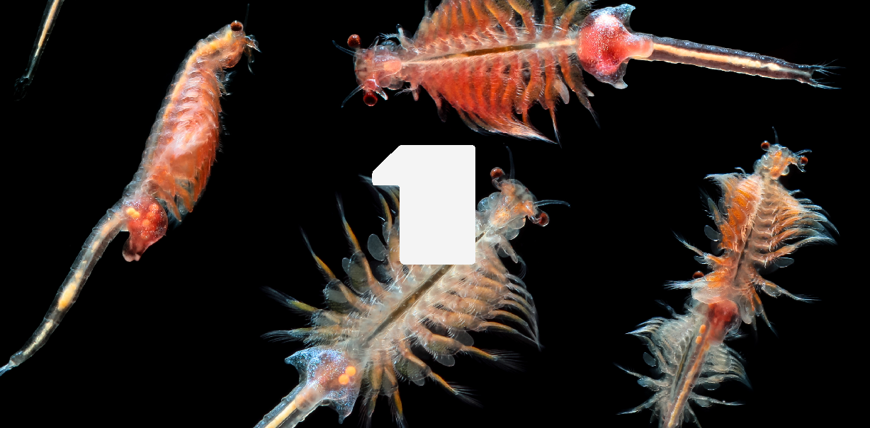 Laboratoire des alternatives